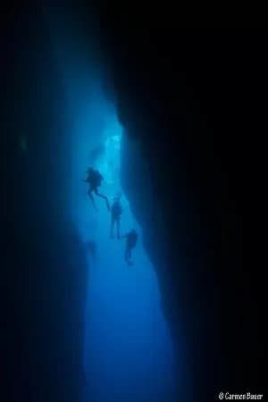 Mad Shark Dive Centre