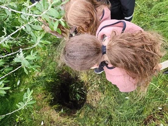 The Hole