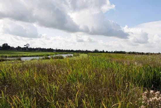 National Park De Alde Faenen