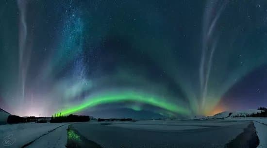 Arctic Shots