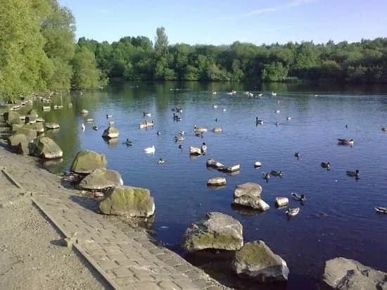 Pennington Flash Country Park