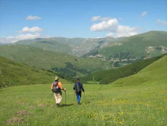 Mountain Experience