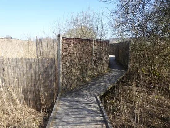 BirdLife-Naturzentrum Neeracherried