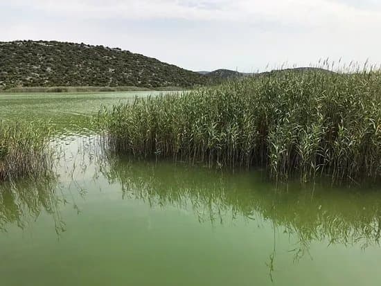 Vransko Jezero Nature Park