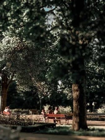 Stary Ogrod Park