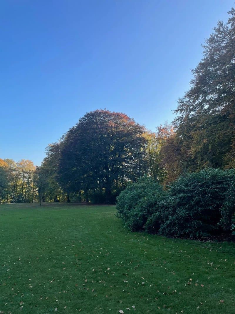Gossler's Park