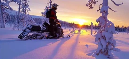 Due North Safaris