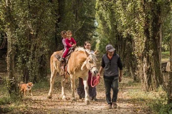 La Vecchia Fattoria
