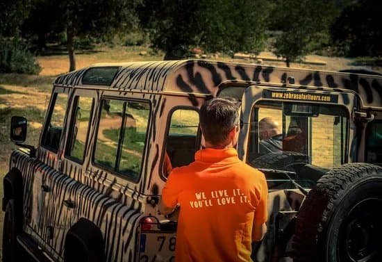 Zebra Safari Tours