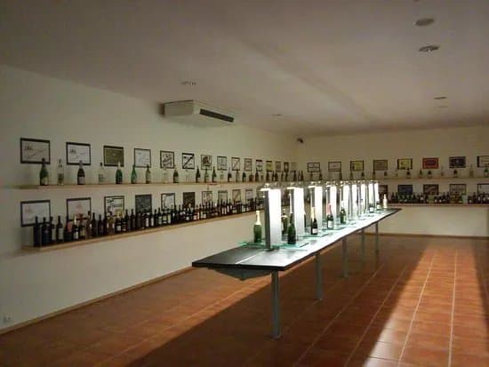 Museu Do Vinho Da Bairrada
