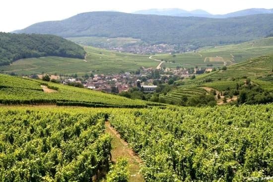 Le Strangenberg