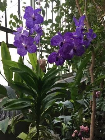 Galerie de Botanique - Museum national d'Histoire naturelle