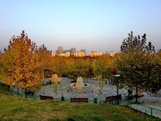 Parcul Tineretului