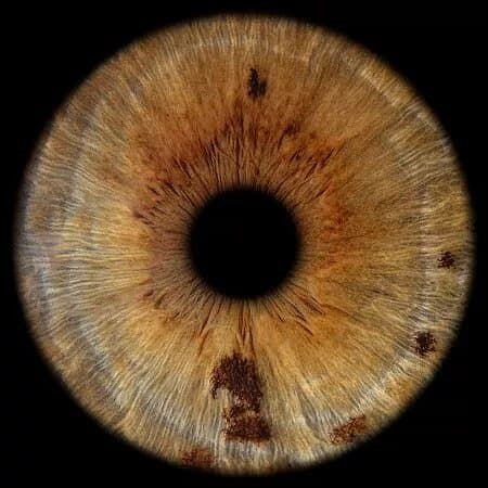 EYE C U - Iris photo