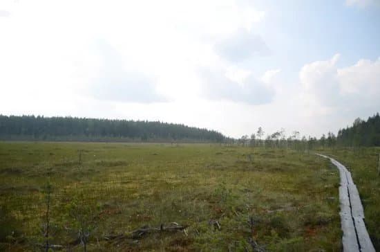 Pyha-Hakki National Park