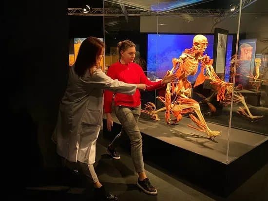 Body Worlds Tallinn