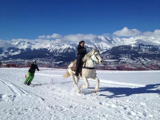 Ski Joering
