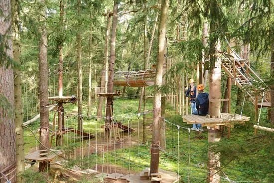 Munchner Wald Kletterwald Vaterstetten