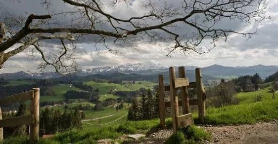 Eggen-Hohenweg
