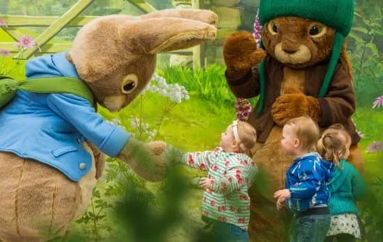 Willows Activity Farm