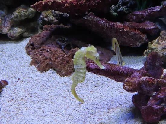 Aqua Zoo Leerdam
