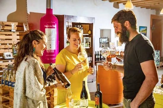 Domaine Castan
