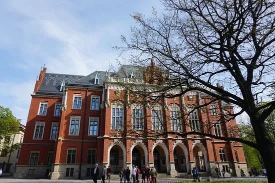 Collegium Novum