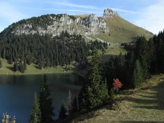Stockhorn