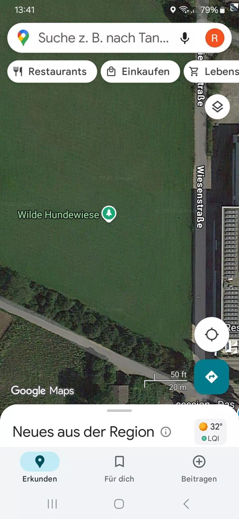 Wilde Hundewiese