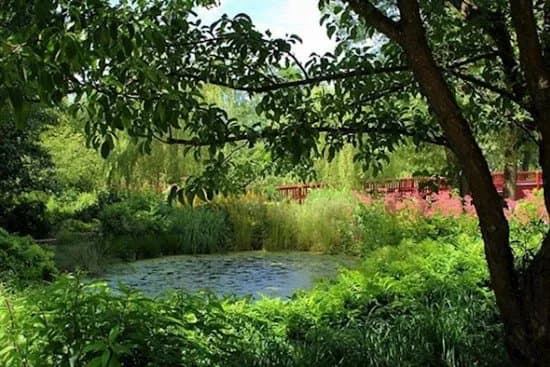 Kulturbotanisk Have