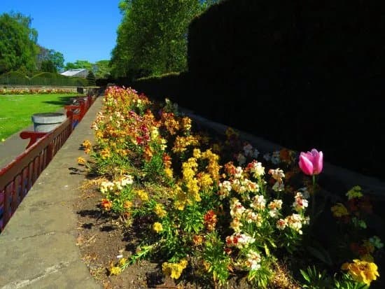 Saughton Park And Gardens
