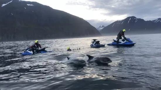 Fairytale At Sea