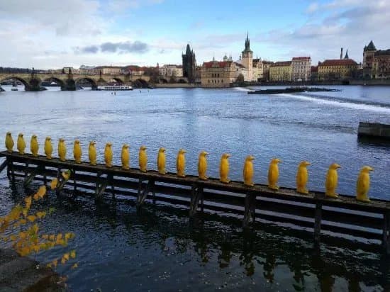 The Penguins at Kampa Park by the Cracking Art Group