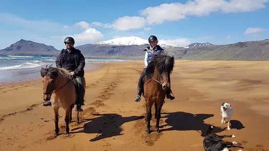 Stori Kambur Horse Rental