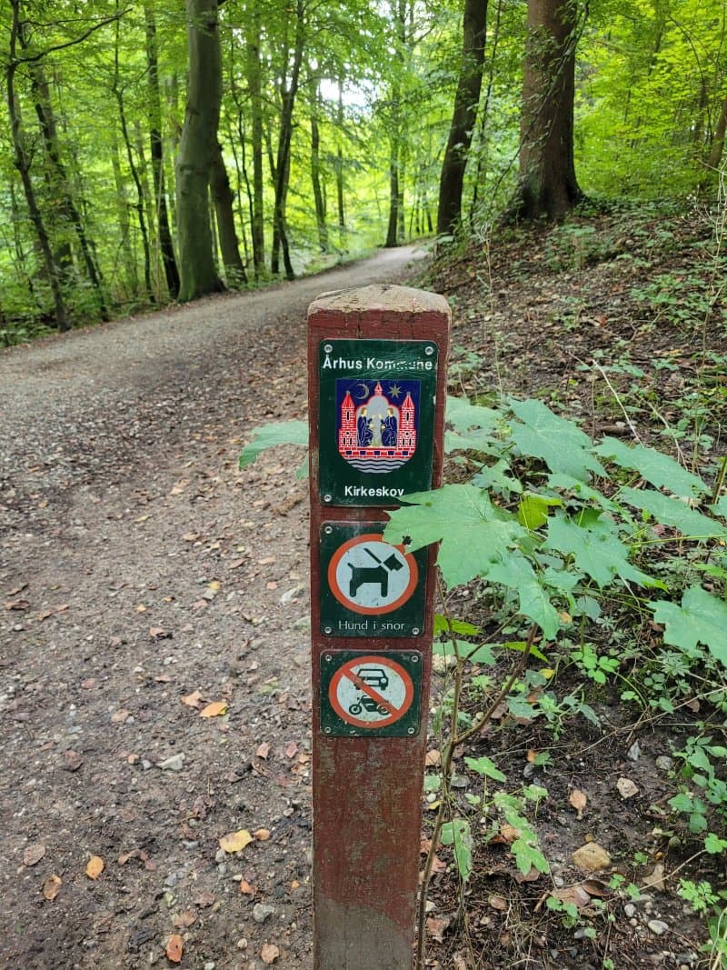 Kirkeskov