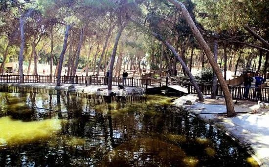 Reina Sofia Park