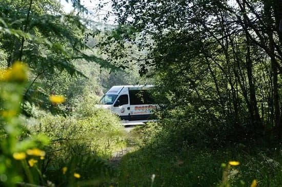 BusyBus
