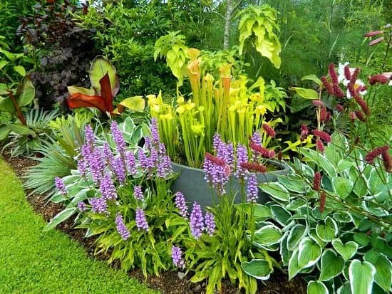 Douentza Garden