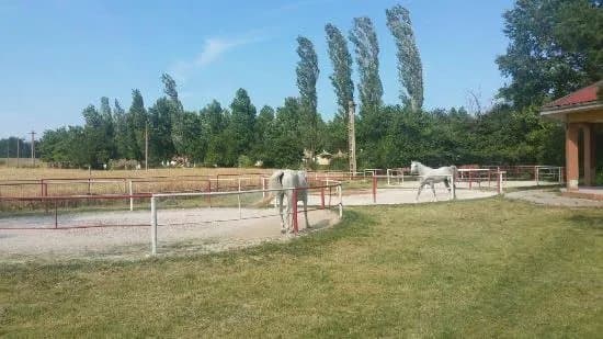 Mangalia Stud Farm