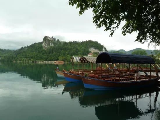Pletna Ride