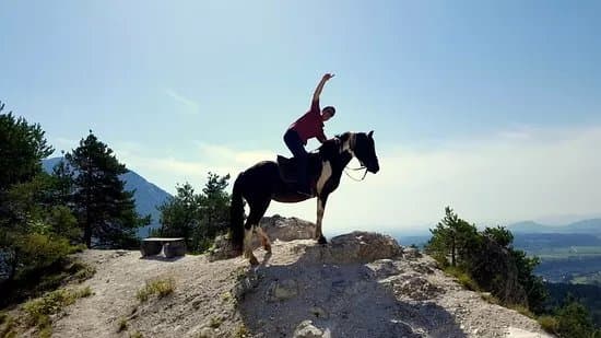 sLOVEnia HORSE RIDING