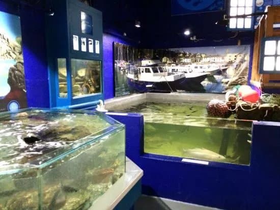 Ilfracombe Aquarium