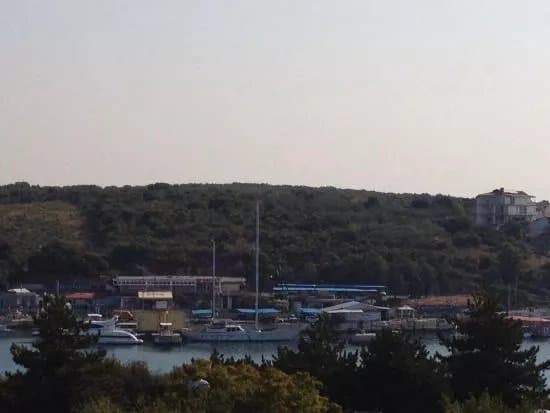 Marina Veruda