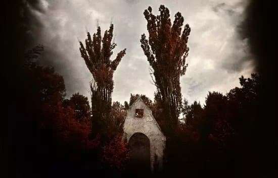 Bohnicky cemetery of fools