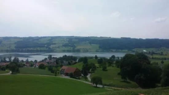 Schloss Heidegg