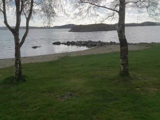 Holmavika