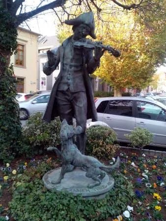 Waschbuer Kundel