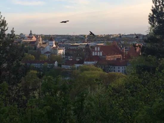 Vilnius Running Tours