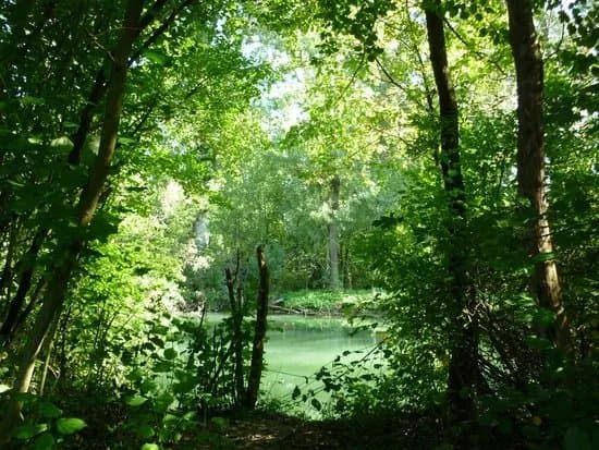 Reserve Naturelle de l'Ile du Rohrschollen