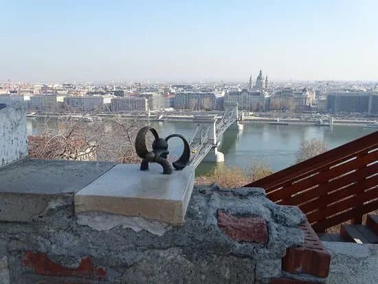 Kolodko szobor: Kockasfulu nyul